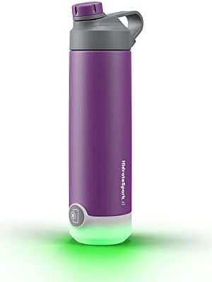 Hidrate Spark TAP Smart Water Bottle, Stainless Steel, Tap to Track Water Intake & Glows to Remind You to Stay Hydrated - Chug Lid - Wildberry